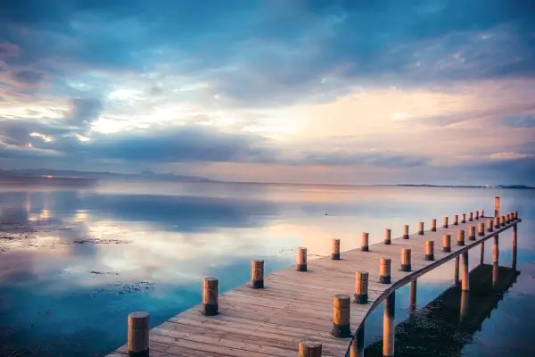 现在离婚什么法律