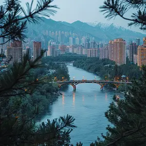 欠钱违反什么法律