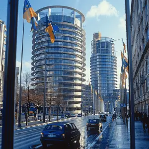 法律专业读博回国做什么