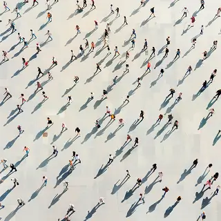 学法律为了什么