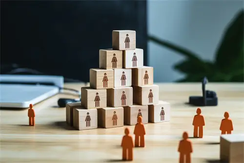 学法律和什么关系大